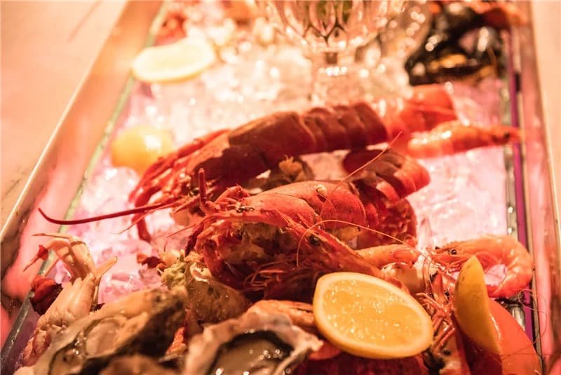 HALO顶级玫瑰盛宴 - 4