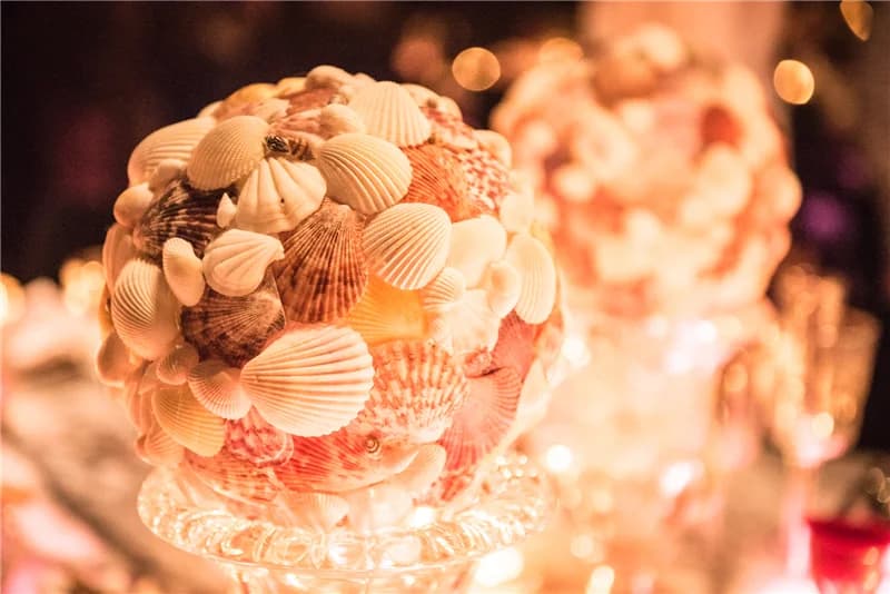 HALO顶级玫瑰盛宴 - 5