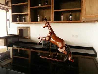 协晟为2013年中国马球公开赛助力添彩