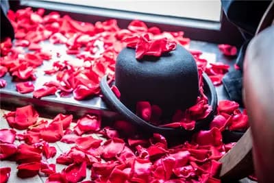 Louis Vuitton Hot Air Balloons windows, New York